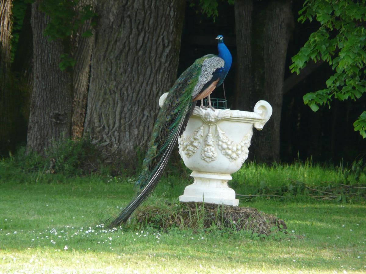 Château de Piolant Dange-Saint-Romain Extérieur photo