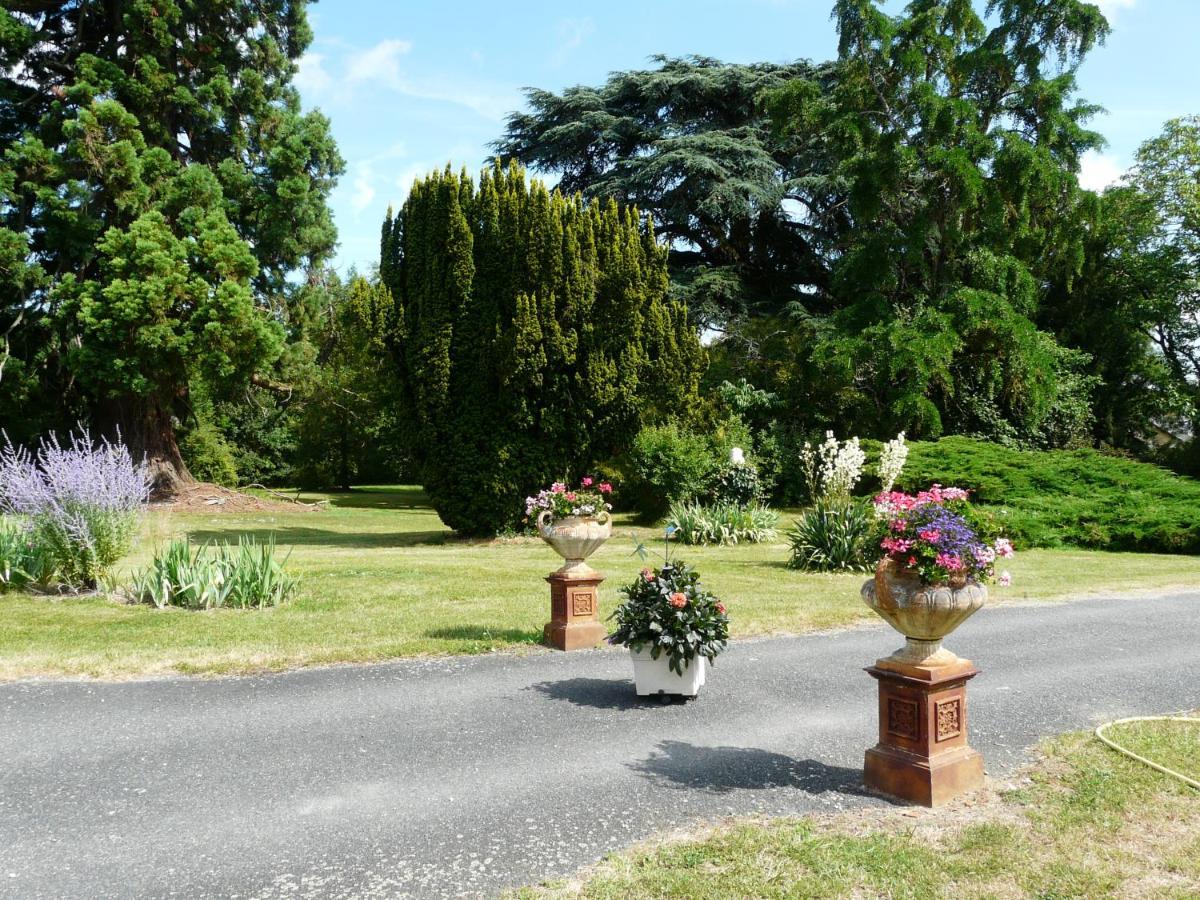 Château de Piolant Dange-Saint-Romain Extérieur photo